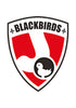 Blackbirds
