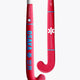 Red hockey stick with full shaft and curved blade, blue text and white star marks