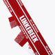 Linkebeek Fan Scarf | Red