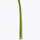 Osaka Field Hockey Stick Low Bow Advanced 25 | Khaki Green