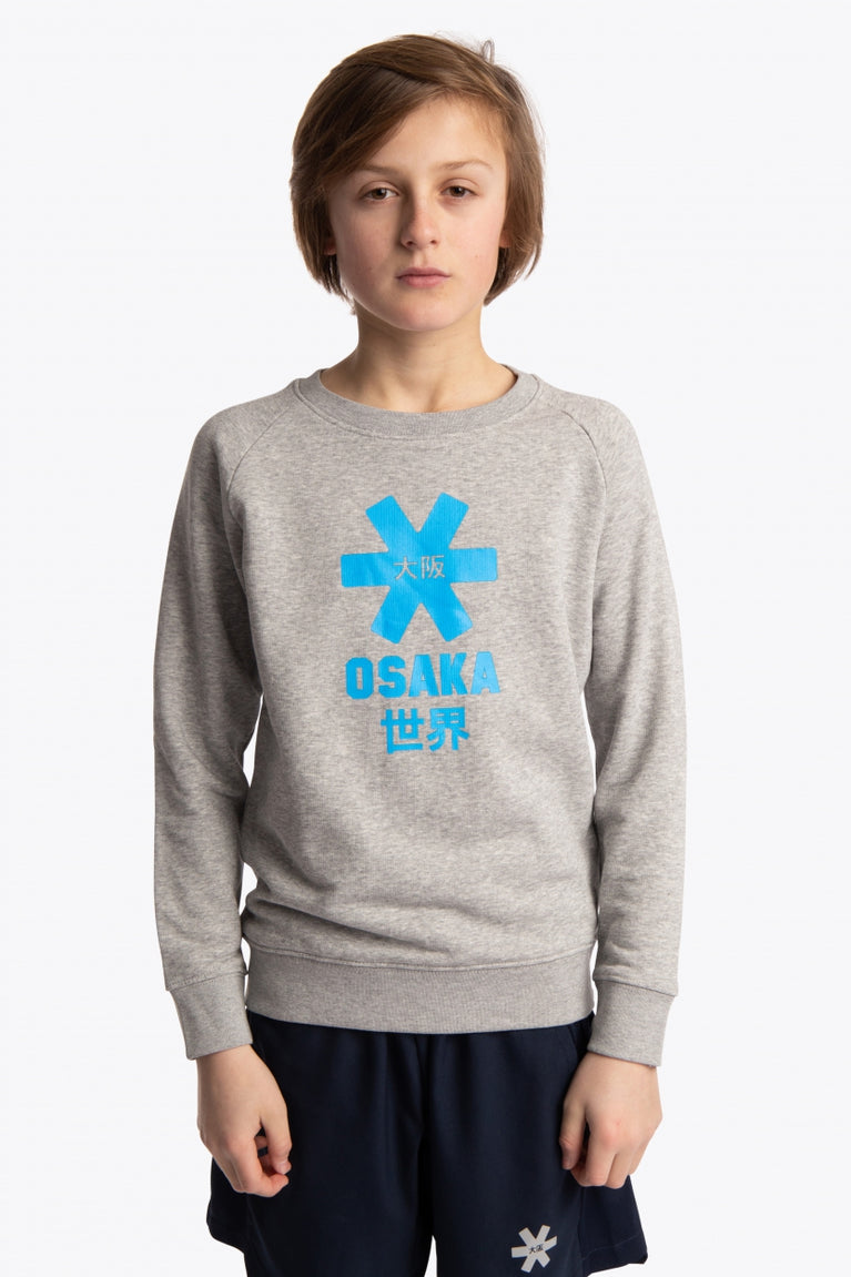 Boy wearing the Osaka kids sweater in grey with logo in blue. Front view