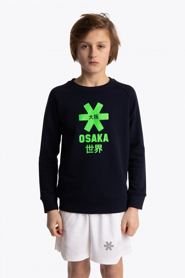 Boy wearing the Osaka kids sweater in navy with logo in green. Front view