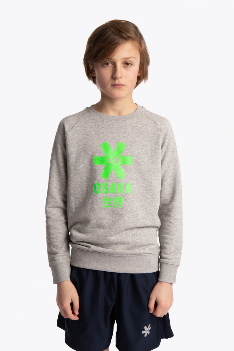 Boy wearing the Osaka kids sweater in grey with logo in green. Front view