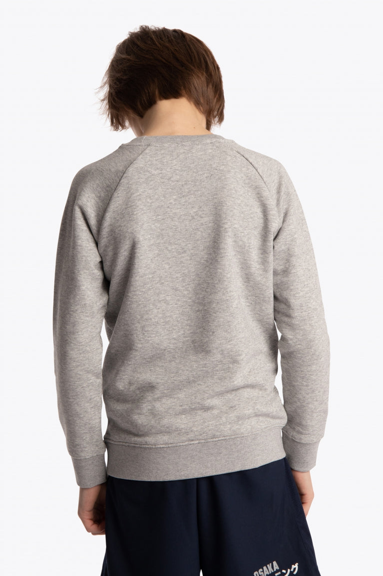 Boy wearing the Osaka kids sweater in grey with logo in green. Back view