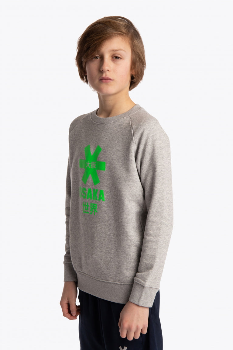 Boy wearing the Osaka kids sweater in grey with logo in green. Front/side view