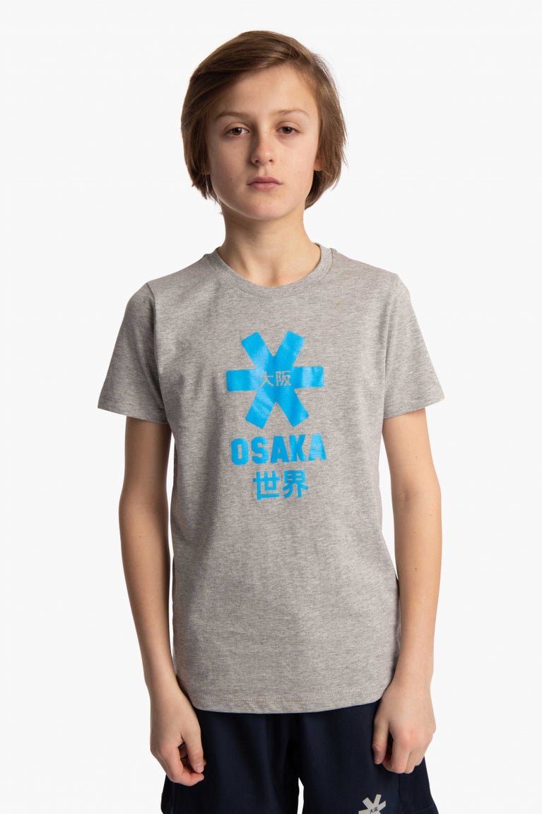 Boy wearing the Osaka kids tee short sleeve grey with logo in blue. Front view